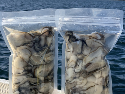 サロマ湖産✨2年牡蠣剥き身‼️ぷりっぷり✨1キロ(500g×2)