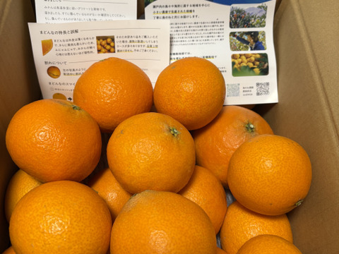 残りわずか数量限定セール！【訳あり】島のね まどんな【愛媛みかん/木成り完熟/サイズ混合/5kg】 4980円→1780円