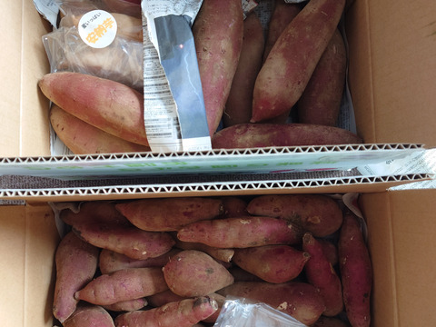 欲しかった❣️チビッコさつまいも🍠(紅はるか3kg)：茨城県産の