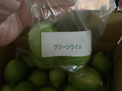 国産グリーンレモン 2キロ