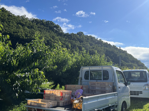 【ご自宅用】夢みずき2kg