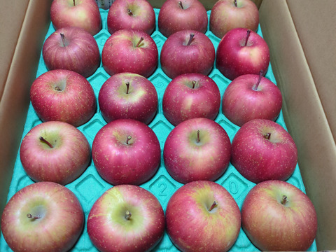 【王道サンふじ】　5㎏　13～20玉　本場青森りんご　農家直送　元気なりんご