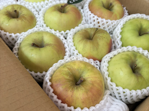 【冬ギフト】🍎『希少！』ぐんま名月🍎約3キロ8〜11玉(家庭用)ID177902