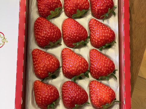 【数量限定】冷凍『晴果いちご』約1kg