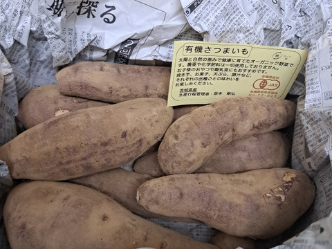 熟成さつまいも！あま〜い紅はるか！(1.8kg)【農薬不使用