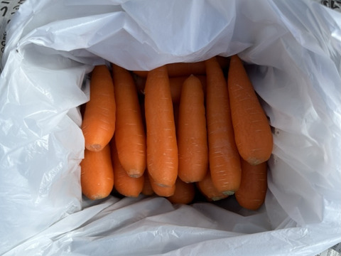 【貴重品種】⚠️今期ラスト⚠️食卓を彩る絶品人参❗️10kg！甘みたっぷり！生でも美味しい！希少価値高い品種！料理しやすいサイズをお届け！食卓に鮮やかなオレンジ色を🧡