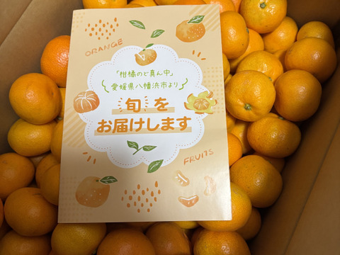 【家庭用】愛媛みかん 11kg(小玉サイズ) ひとくちで恋する♡濃い味みかん♪【冬ギフト】