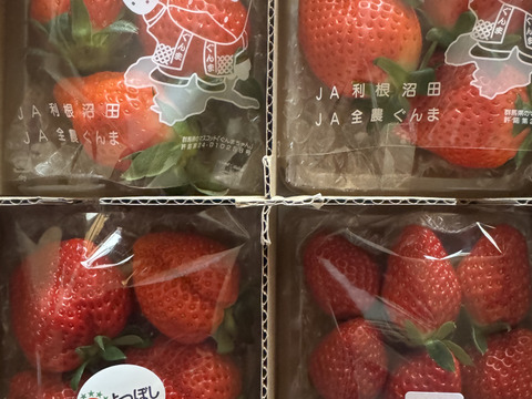 【初売り特価】いちご中身おまかせ4パック 【よつぼし】【おいCベリー】【やよいひめ】から品種サイズはおまかせ(1品種の場合あり)でお届け‼︎ 朝採りをその日のうちに発送します(^^)