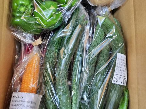 本日か翌日発送★夏野菜9袋セット★フードレスキュー　農園自慢の野菜セット★パチャママ農園