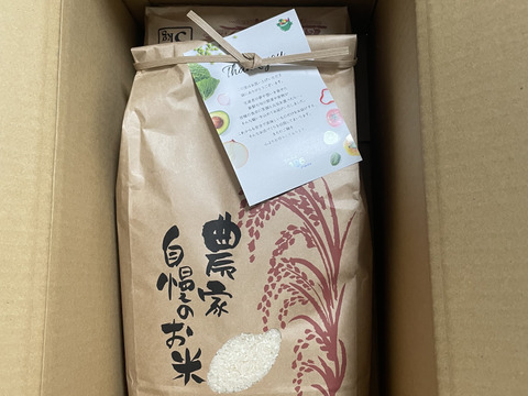 令和6年産新米！淡路島「キヌヒカリ」（5kg×2袋セット）