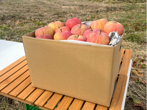 🍎秋の味覚🍎家庭用【完熟ふじりんご】5kg