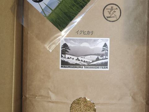 [新米] 新潟県南魚沼産イクヒカリ精米10kg[令和7年産]八海山の里で実りました。