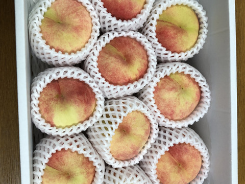 美味しさが凝縮！とても甘い！「まさひめ」 S〜M玉約2.5kg【クール便】