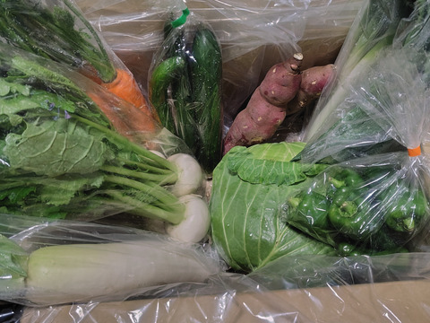 旬の野菜セット（冬野菜）