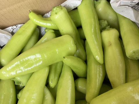 限定採れすぎ大特価‼️ 採れたては辛さも新鮮!!バナナ南蛮だらけ箱一杯セット!!(サイズ80)
