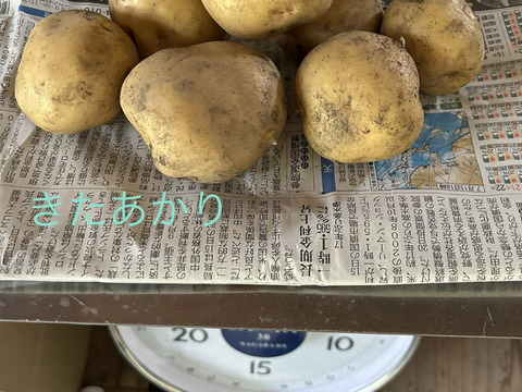 新じゃが食べ比べ❣️きたあかり、キタカムイ、メークイン約700g✖️3種で約2kgのセットで。