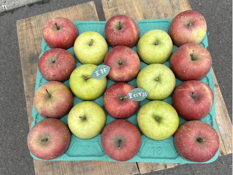 ★大人気★🍎葉とらずふじ🍏王林（家庭用１３～２０玉）約５キロ　ID124974