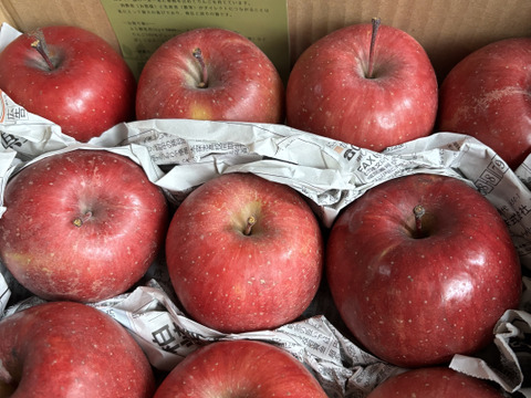 葉とらずサンふじ　家庭用B品　たっぷり10キロ箱　JA基準より60％減の低農薬栽培