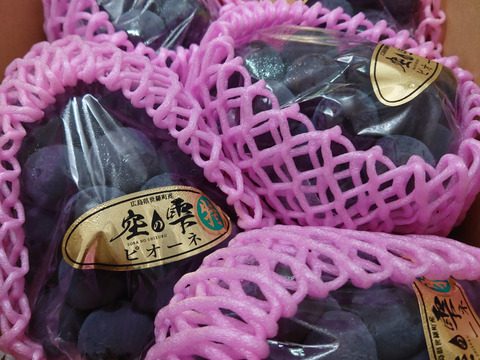 【約2㎏】「空の雫」種無し！ピオーネ　4～5房入り【お届け時期９月　受付順】