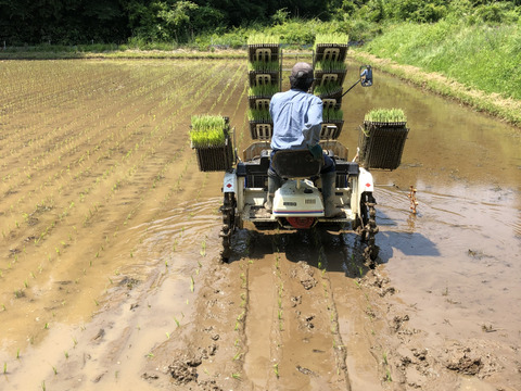 【アワード受賞福袋】有機野菜5～7種とお米（お試しサイズ×２袋）、加工品の詰め合わせセット