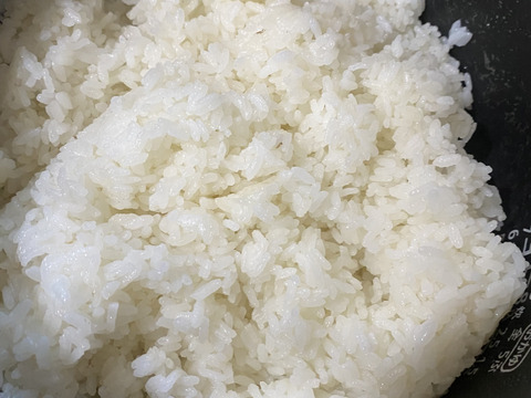 虹のきらめき玄米27kg】【2025年米】新米🌾大粒の食べ応えと甘み