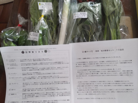 【少量サイズ♪】信州夏野菜セット10品目 お試しにも！