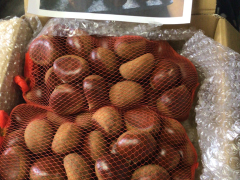 【福袋】【完熟熟成栗】超お得価格！熟成蔵出し特別セット『 Ｌ / 2L / 3L 』1㎏×3袋(計3kg)【限定６０個】