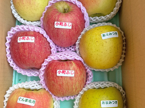 入荷中 希少 りんご 2~3種 詰め合わせ 3kg(8〜9玉)セット ギフト 果物
