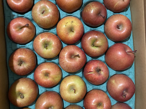 ふじ　10キロ　本当の加工用りんご　 ジャム、ジュース、コンポート用　36～46玉