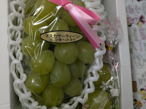 次世代高級ぶどう マスカ サーティン  600g1房