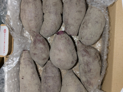 【規格外】鮮やかな紫色！　訳あり紫芋4kg　（あやむらさき）