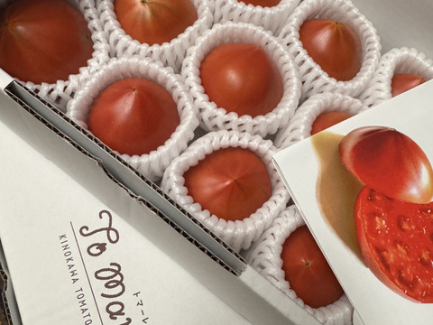 【2箱】弾ける旨味・甘み！【ト・マーレ】禁断の濃密さ 750g×２
