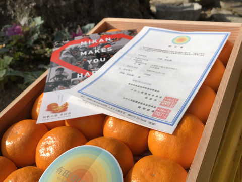 【贈答木箱3kg】94歳とみ子ばぁばの完熟早生みかん【熨斗付き】