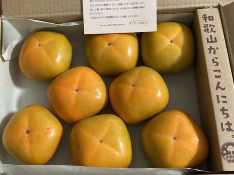 ジュワッ！ 甘っ！ 平核無（ひらたねなし）柿🟠✨🍂　お試しパック 6〜9個入り Mサイズ以上 11月上旬頃より順次発送
