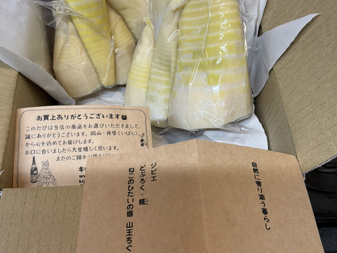 アク抜き不要！岡山県産【やわらか水煮たけのこ】🉐約1kg（約500g×2パック）朝堀り・新鮮✨