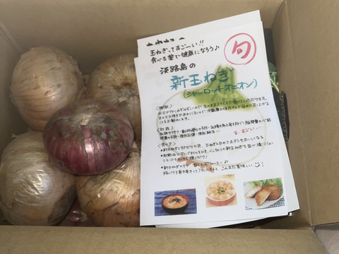 大きい3.8kg🧅新玉ねぎ🧅淡路島極熟玉葱　今が旬‼️ 特別栽培農産物　シャーロットオニオン