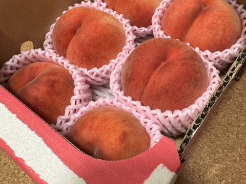 🍑【2025年8月下旬桃】1.5kg　5玉前後【ASIAGAP認証農場：津軽農園】　　安心・安全な桃　収穫した日に発送　家庭用　農家直送【朝どれ】