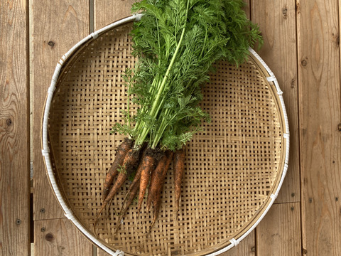 安心安全な　葉付きにんじん　1Kg