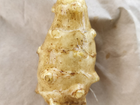 キクイモ５キロちよっと訳あり⭐