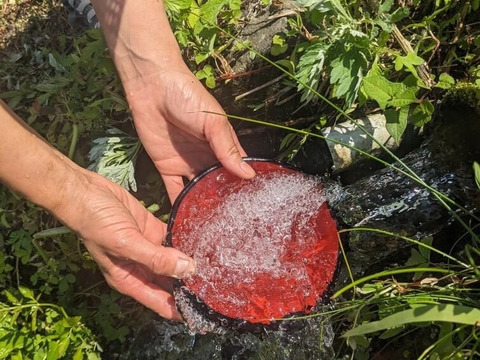 貴重な棚田産玄米を米粉に！🌾新潟の天陽・天水・谷風が注ぐ棚田「とちおてらす」の玄米米粉【200g×2袋】🍞(品種コシヒカリ)🍚農薬肥料不使用