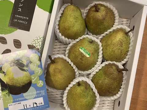 【ラフランス専業農家が贈る】ラ・フランス２ｋｇ 2Lサイズ7玉入り
