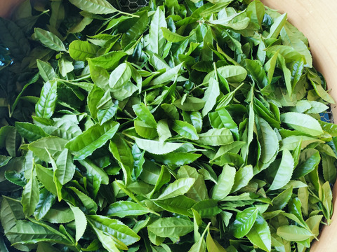ほっと一息。そらのお茶（200g×2袋）