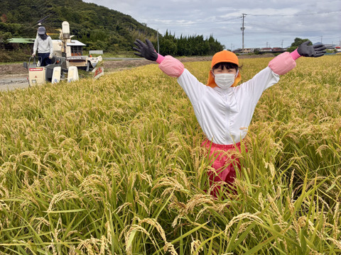 令和8年産・新米】淡路島産キヌヒカリ｜家族で育てたつややかで