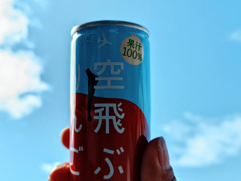 ☆空飛ぶ夢みたりんごの甘さ☆りんごジュース（缶タイプ）