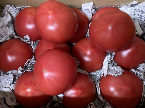 毎食トマト！バクバク食べちゃう栄ちゃんトマト　大きめ3キロ入り