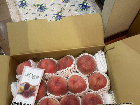 昨年3000件発送！うまいっ！【川中島白桃！！】5kg(10-16 玉）【夏ギフト】