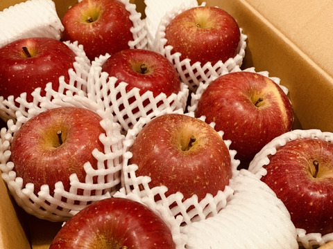 【販売開始！人気商品】青森県産りんご「サンふじ」家庭用 キズ有 約3kg 【美味・光センサー選果済】