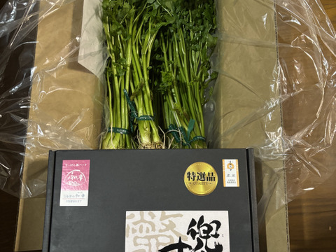 三関せり 1000g 秋田 鍋 セリ鍋 きりたんぽ鍋  天ぷら  せり 三関産せり しゃぶしゃぶ セリ 家庭 ギフト お歳暮 クリスマス すき焼き 家庭 雑煮 七草