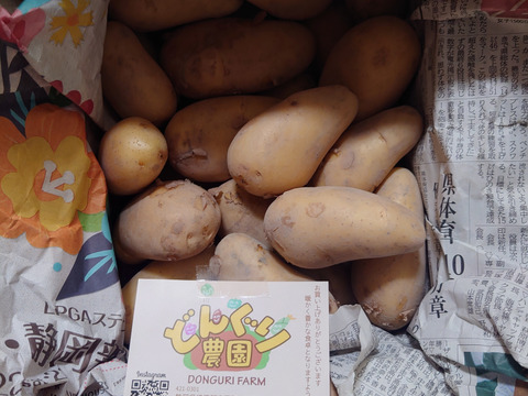 春の掘りたてじゃがいも!田んぼのメークイン(3kg)/静岡県産農薬不使用