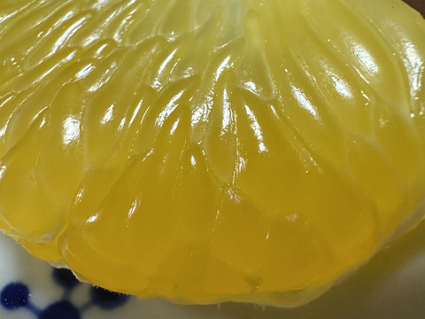 はっさくファン必見！つぶつぶジューシー！熟成はっさく生実10キロ30個~35個【自然栽培】サイズ混合愛媛大三島よりお届け